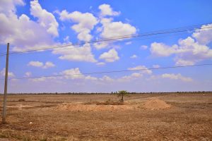 02.04.2015: Battambang