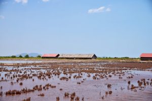 07.04.2015: Das Hinterland von Kampot & Kep-Sur-Mer