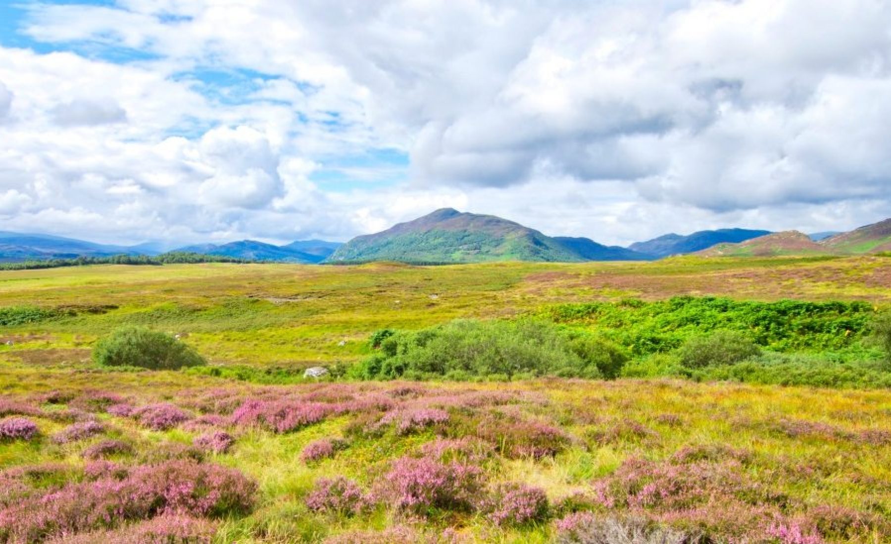 Newtonmore – Kingussie
