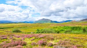 Newtonmore - Kingussie