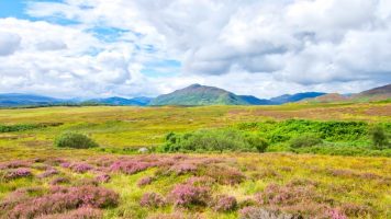 Newtonmore – Kingussie