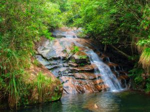 Longchuan Grand Canyon & Tianyoufeng Scenic Area