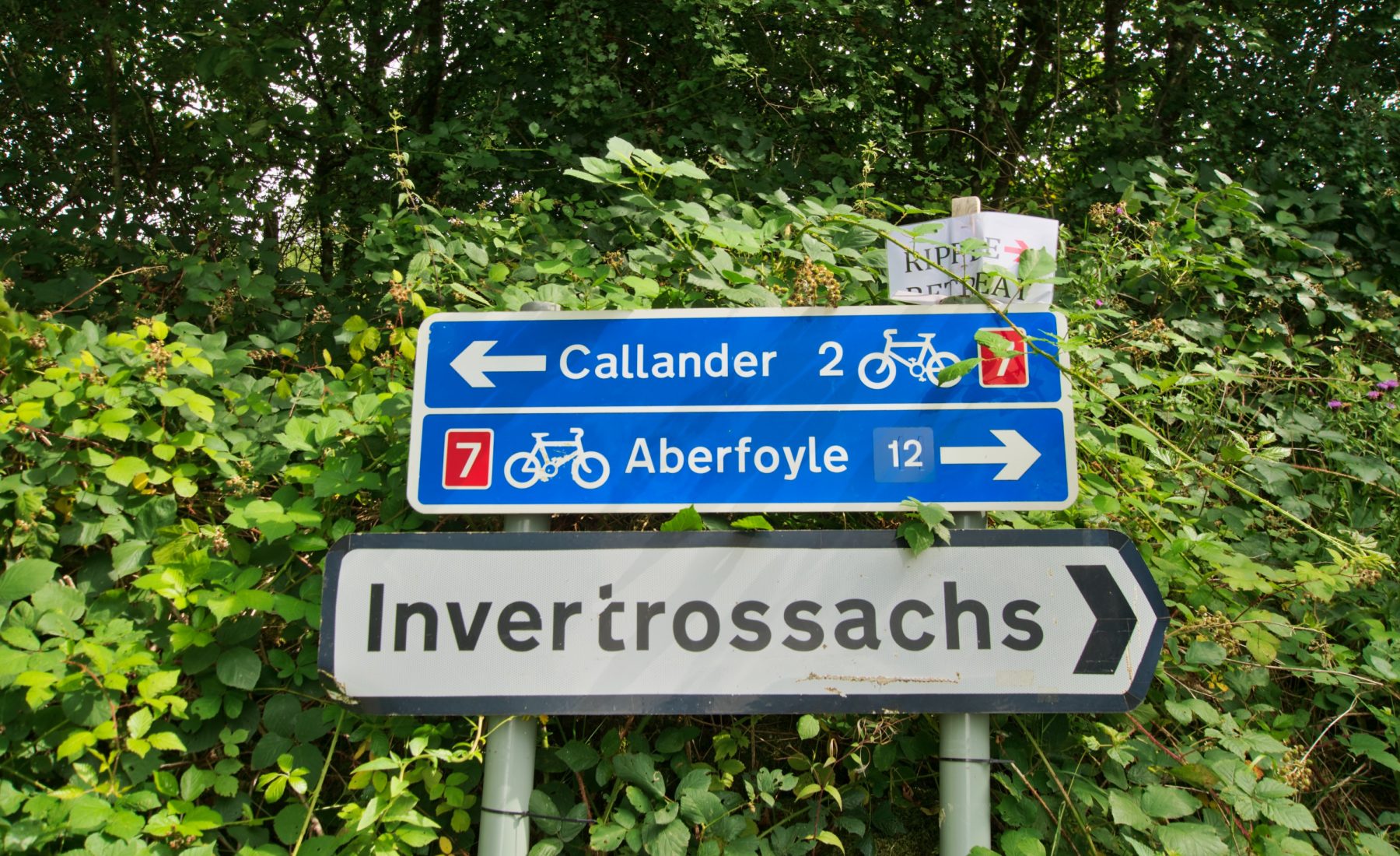 Aberfoyle – Callander