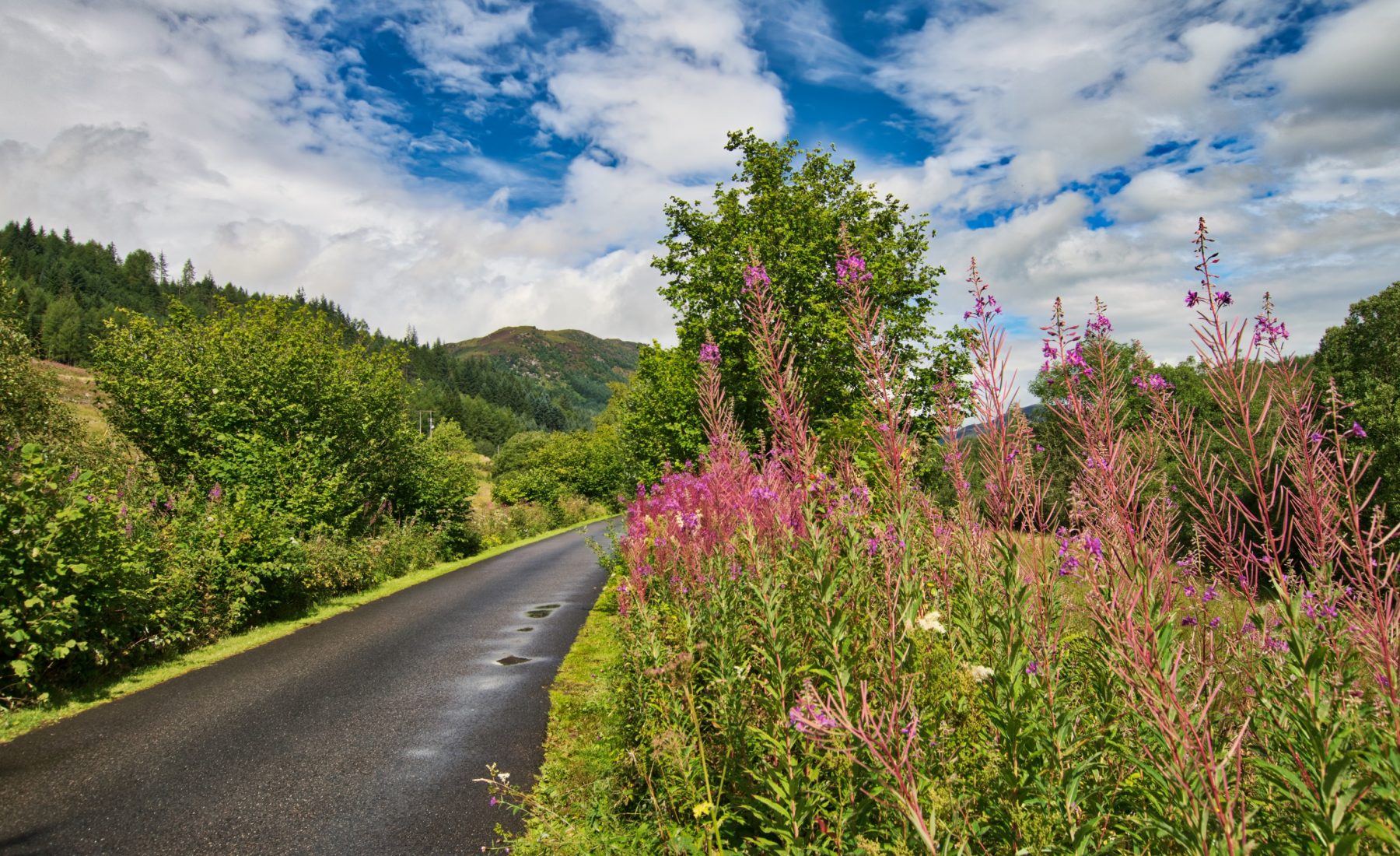 Callander – Strathyre