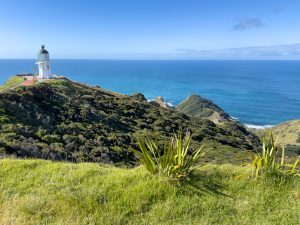 Kerikeri, Mangonui & Cape Reinga (5.11.23)