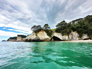 Coromandel-Halbinsel (8. - 9.11.2023)