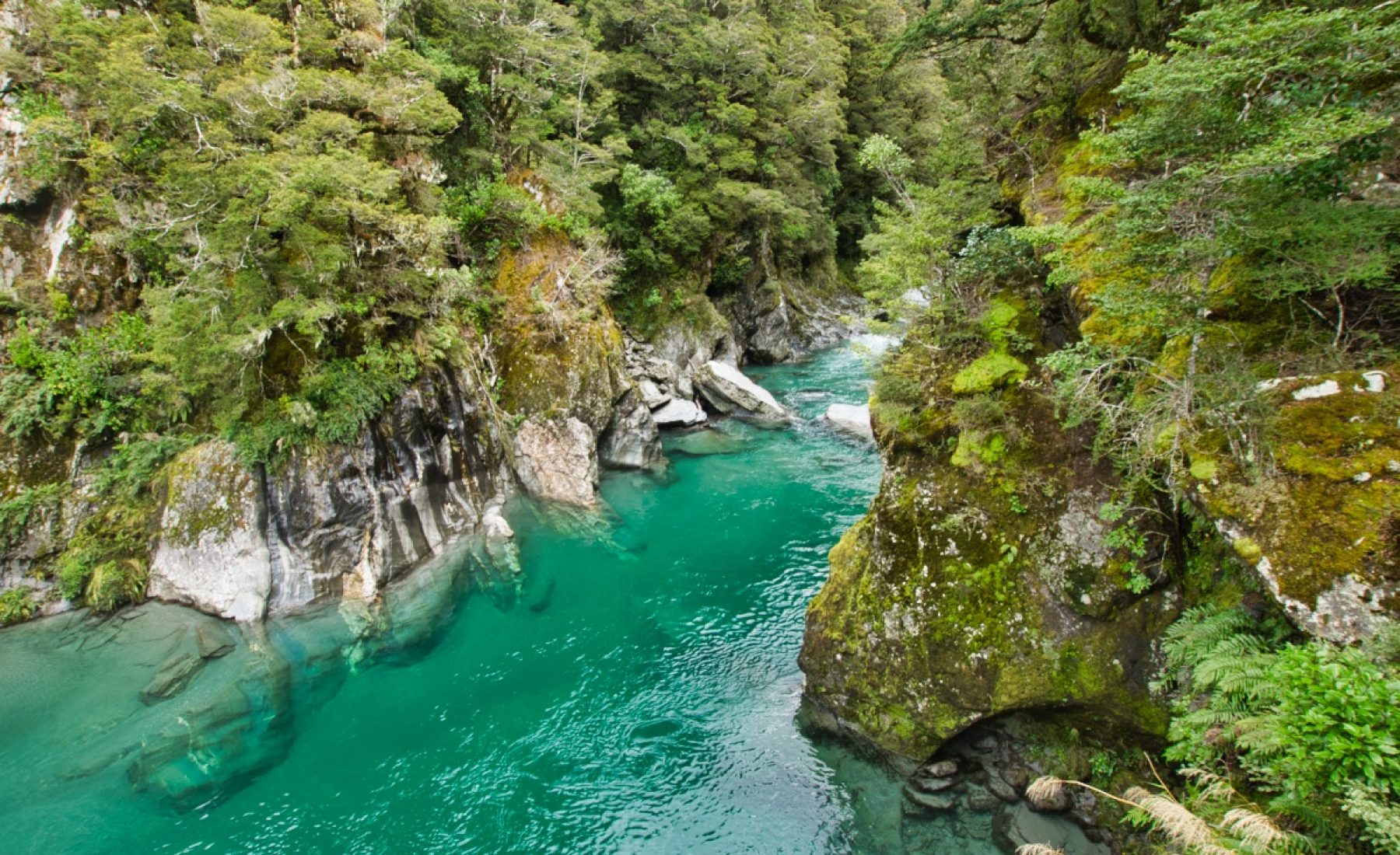 Fahrt nach Wanaka (17.03.2019)