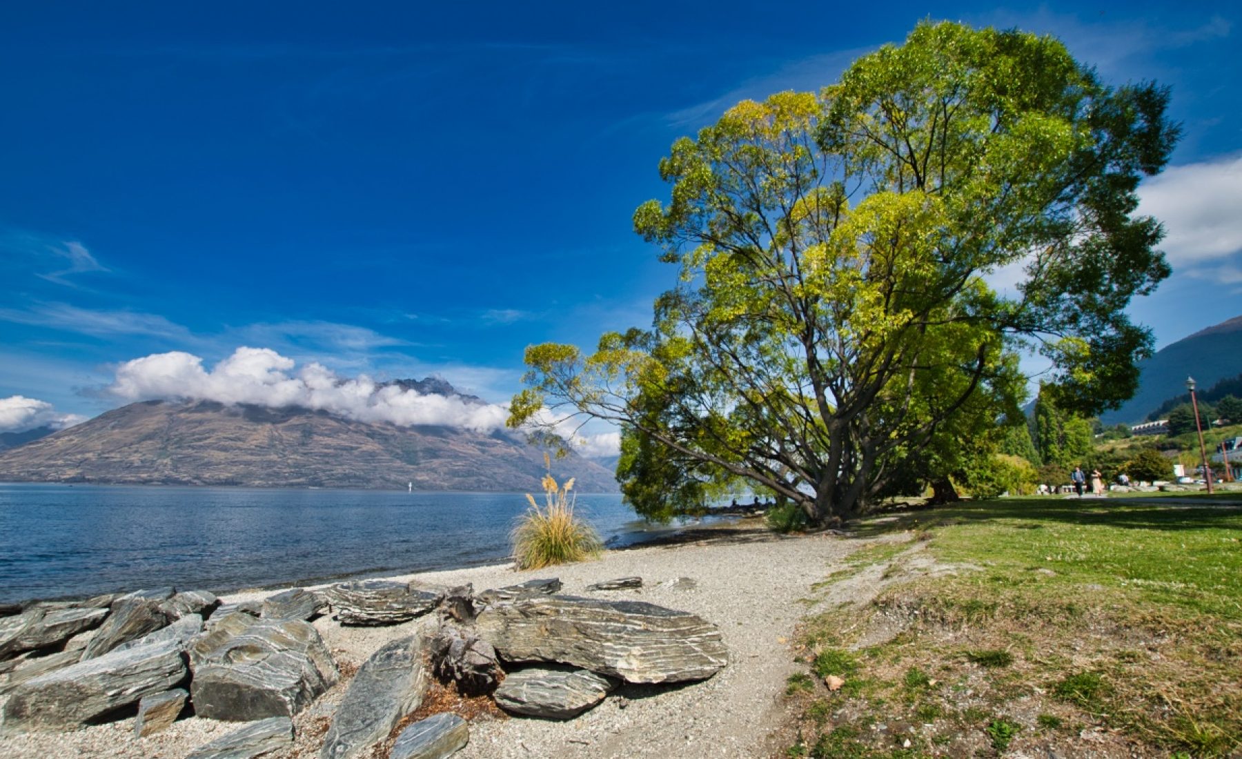 Queenstown (20.03.2019)