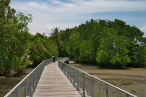Ausflug nach Pulau Ubin (29.03.2019)