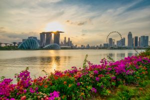 East Coast Park und Marina Bay Gardens East (24.02.2019)
