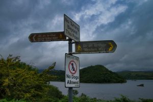 Oughterard – Maam Cross (21.07.2019)