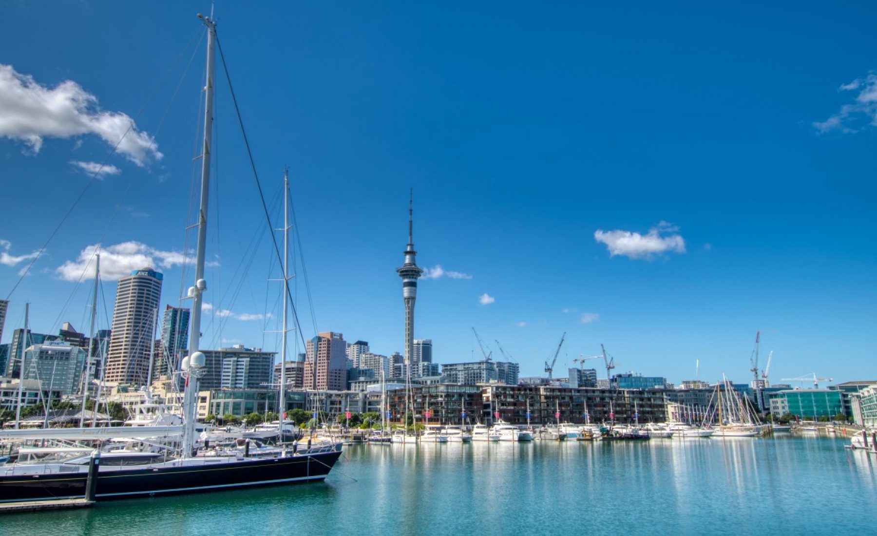 Auckland im Schnelldurchgang (27.02.2019)