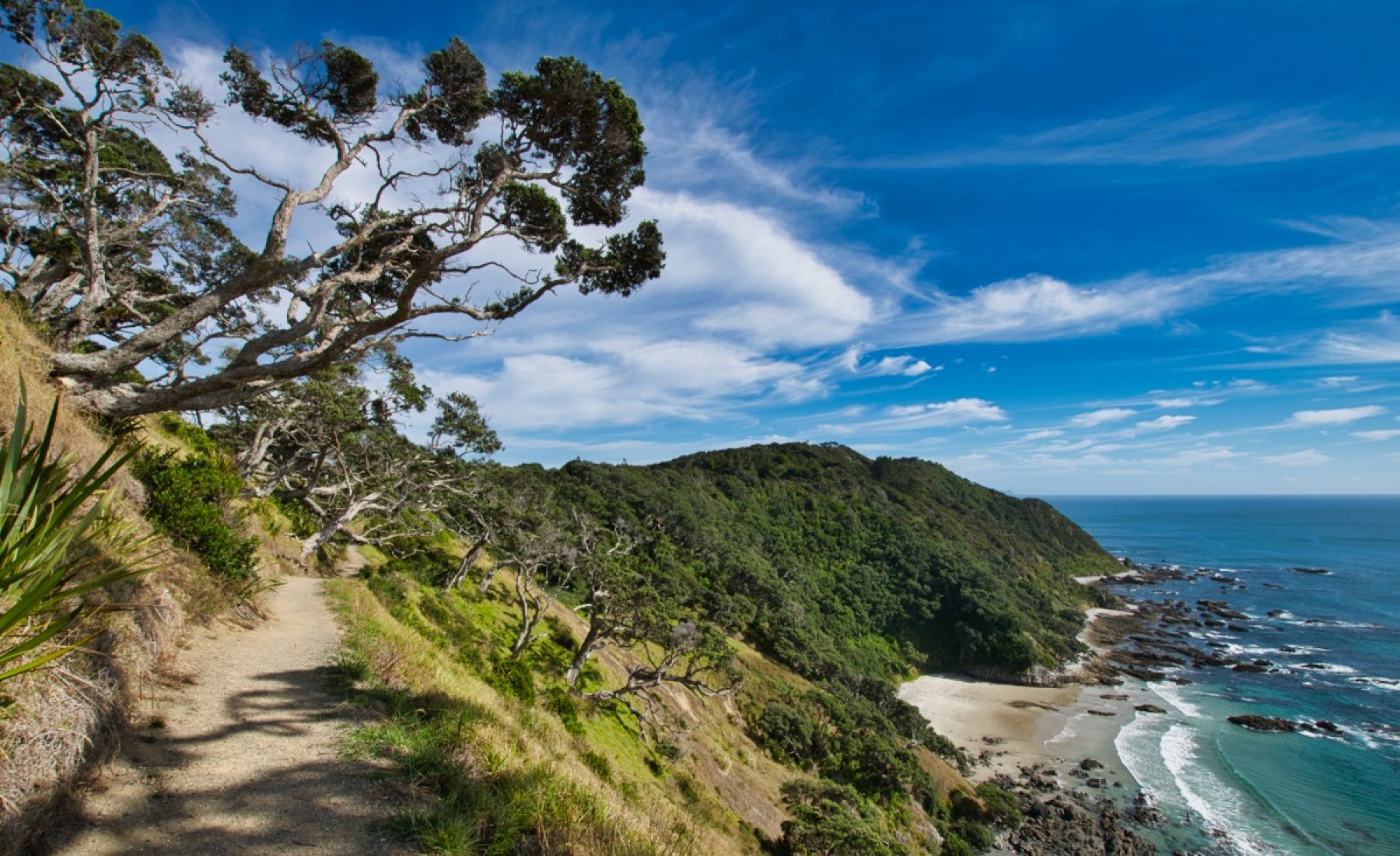 Mangawhai Cliffs Walkway (04.03.2019)