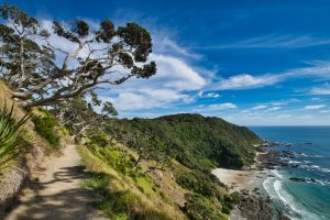 Mangawhai Cliffs Walkway (04.03.2019)