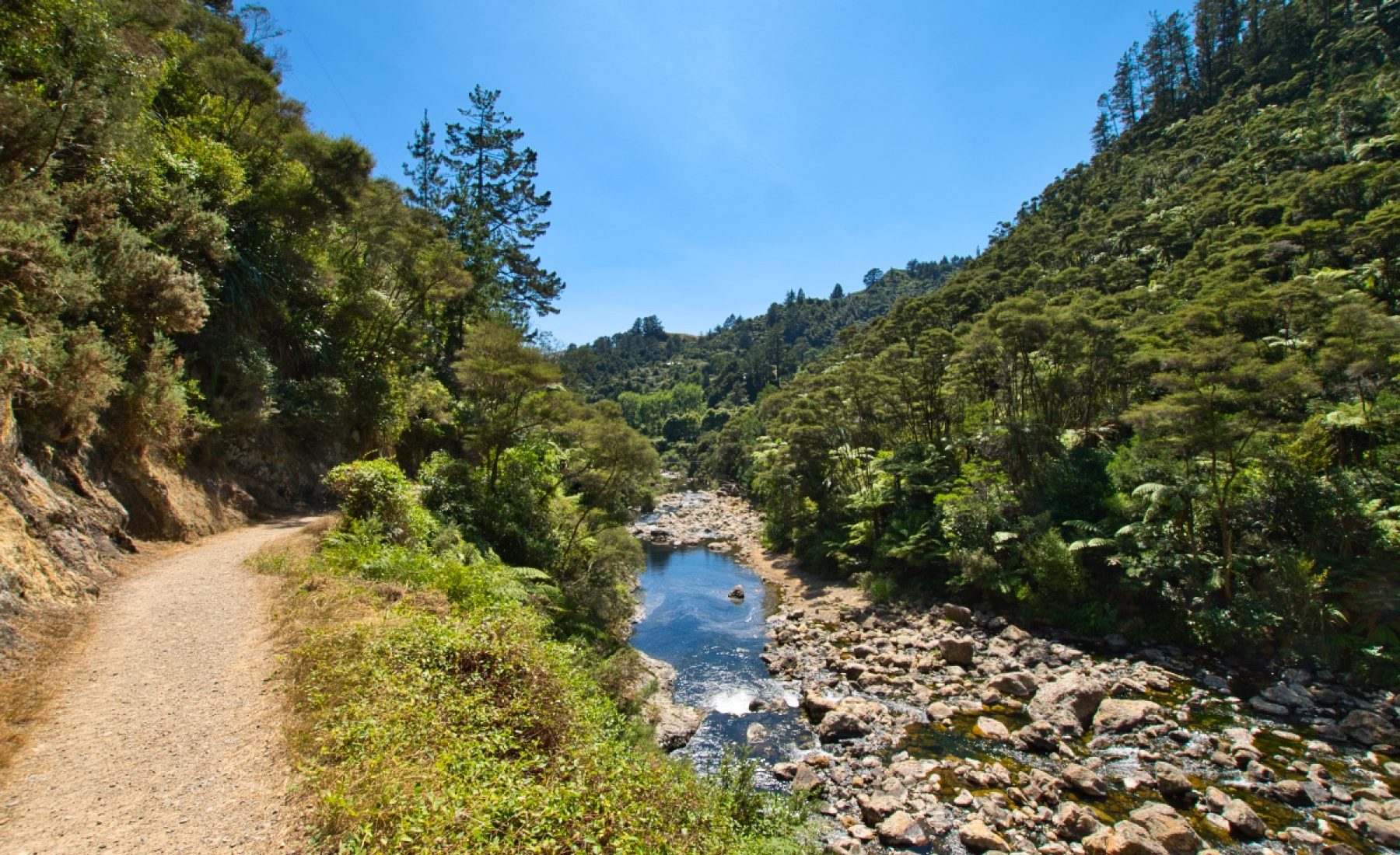 Karangahake Gorge (06.03.2019)
