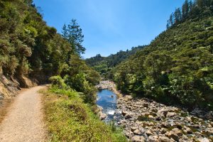 Karangahake Gorge (06.03.2019)