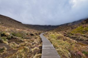Tongariro Nationalpark (10./11.03.2019)