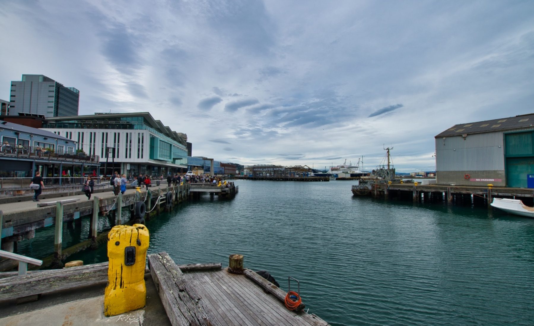 Wellington (11./12.03.2019)