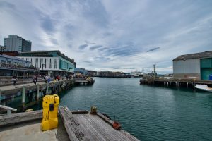 Wellington (11./12.03.2019)