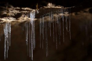 Te Anau Glowworm Caves (21.03.2019)