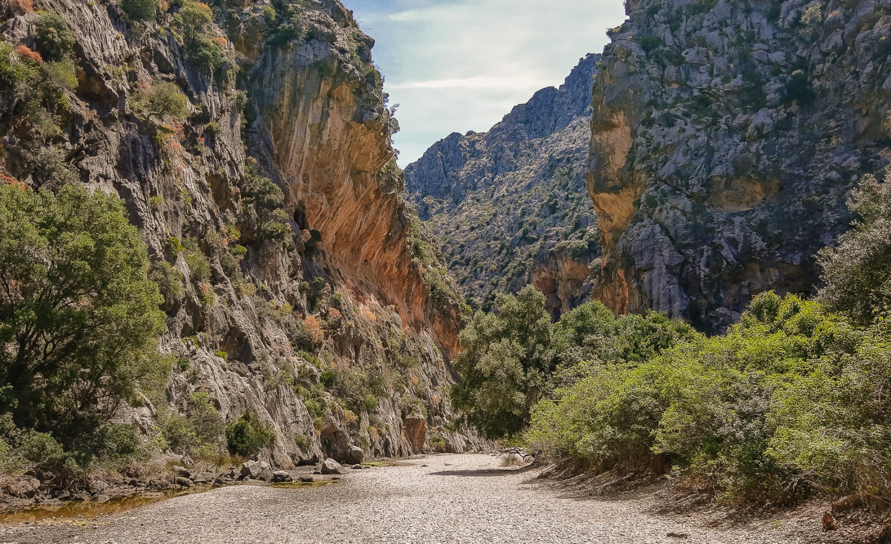 Ausflug nach Sóller & Wanderung Torrent de Pareis